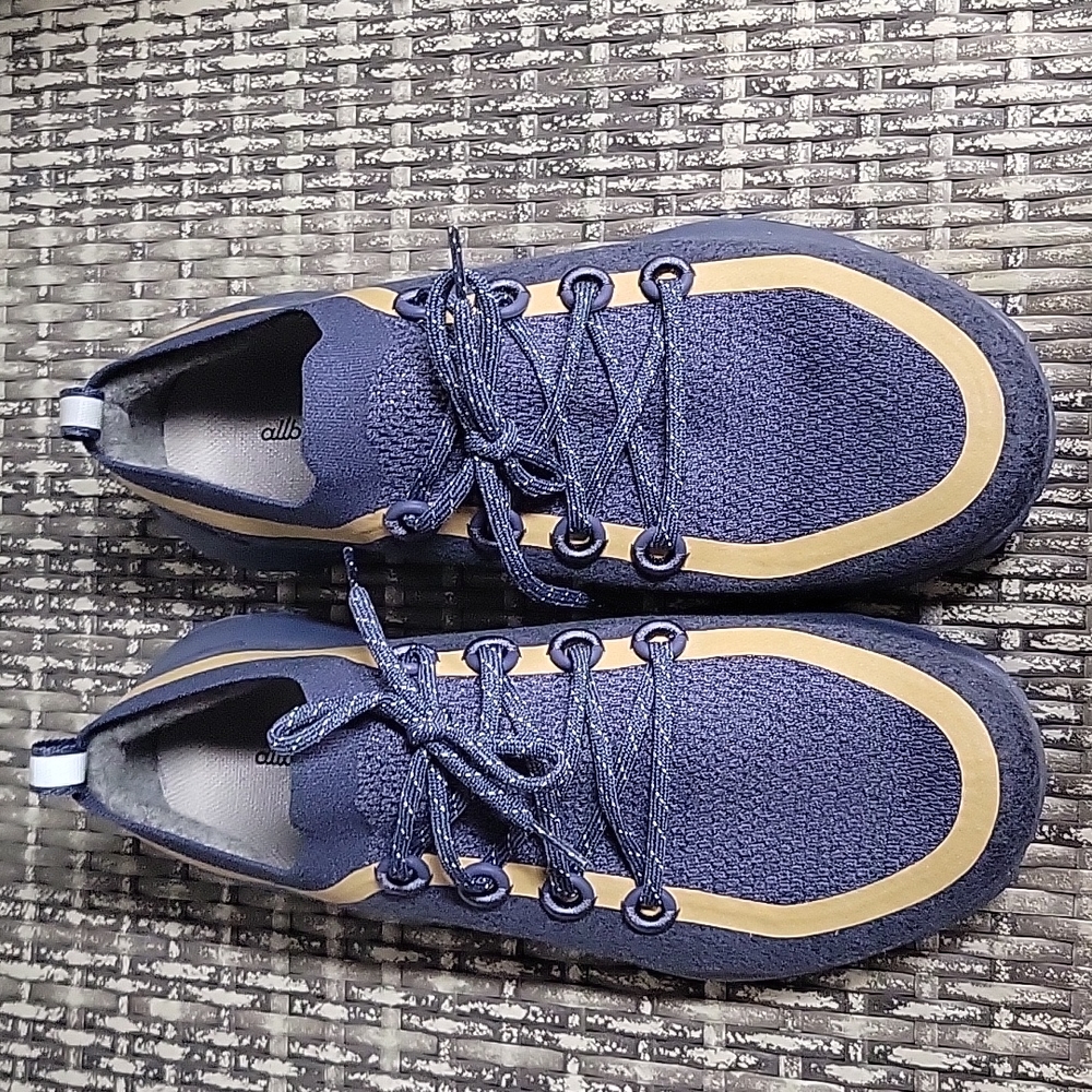 Men's Allbirds sneakers
